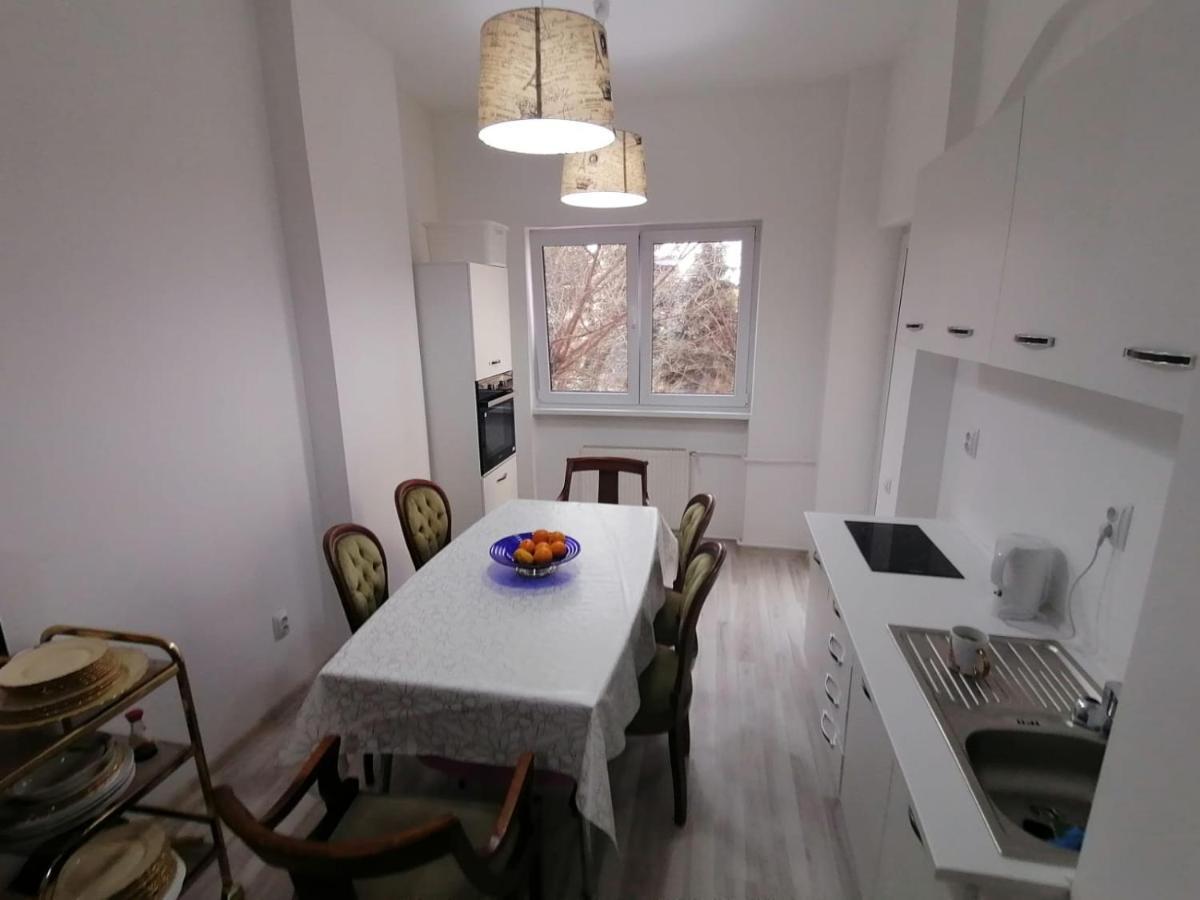 Central Appartment - Heart Of Bucharest - Sector 1 - New Renovated - Open Space Dış mekan fotoğraf