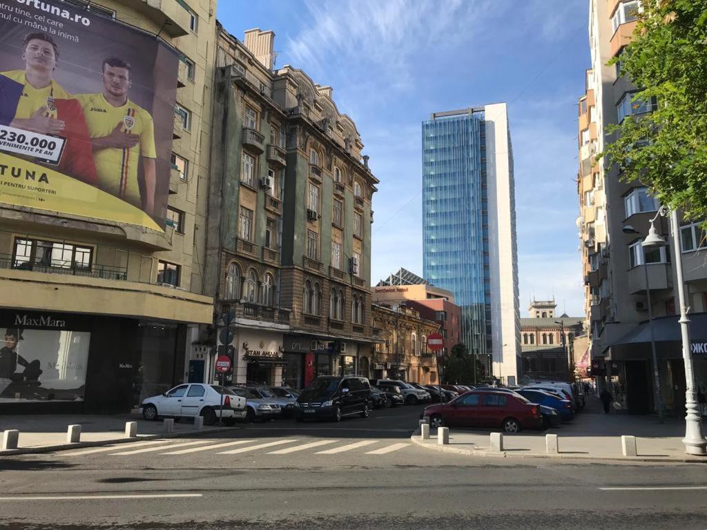 Central Appartment - Heart Of Bucharest - Sector 1 - New Renovated - Open Space Dış mekan fotoğraf