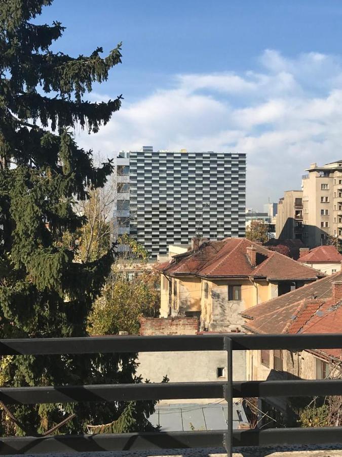 Central Appartment - Heart Of Bucharest - Sector 1 - New Renovated - Open Space Dış mekan fotoğraf