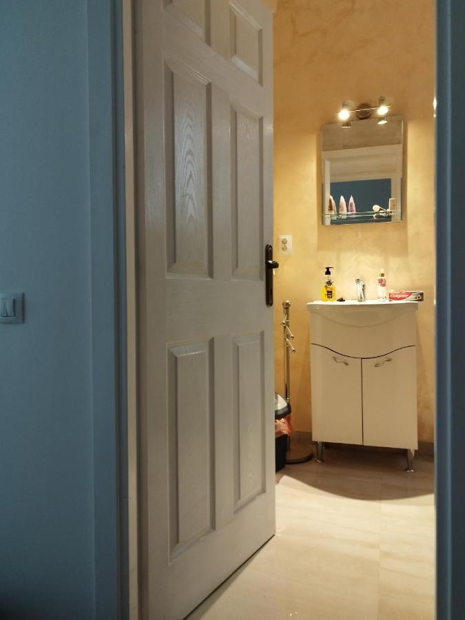 Central Appartment - Heart Of Bucharest - Sector 1 - New Renovated - Open Space Dış mekan fotoğraf