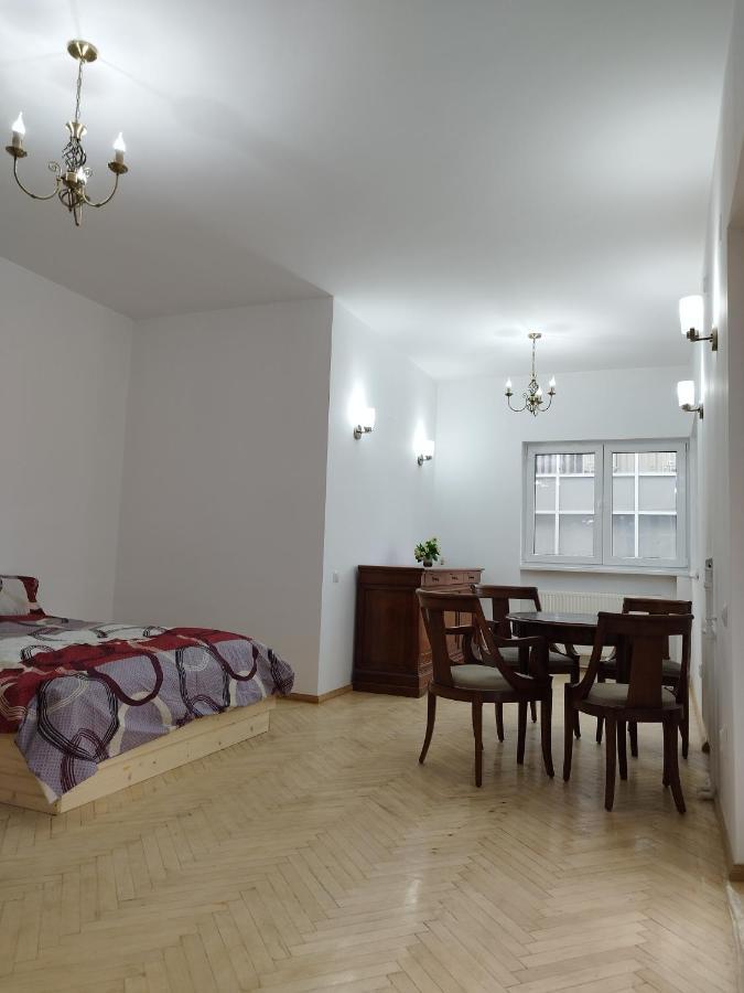 Central Appartment - Heart Of Bucharest - Sector 1 - New Renovated - Open Space Dış mekan fotoğraf