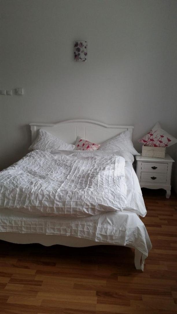 Central Appartment - Heart Of Bucharest - Sector 1 - New Renovated - Open Space Dış mekan fotoğraf