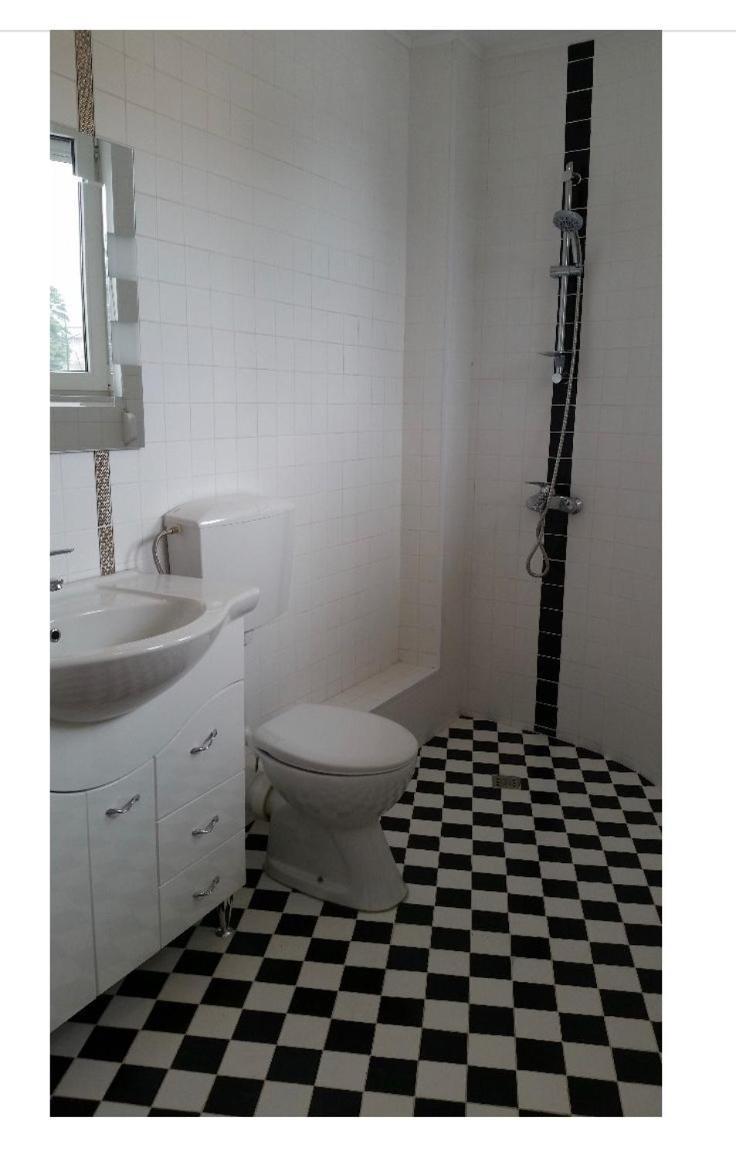 Central Appartment - Heart Of Bucharest - Sector 1 - New Renovated - Open Space Dış mekan fotoğraf
